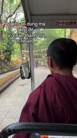 Đi bộ nhiều rồi nay được đi ké của Sư 🪷 #thienvipassana #tinhthuc #songlanh #tuyenluong #nammobonsuthichcamauniphat #dichua 