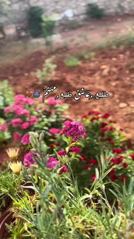 #🥹🥹🥹 #بدون_موسيقى #تيك_توك #viralvideo #🤎🤎🤎🤎🤎🤎🤎🤎🤎🤎🤎 #اكسبلورexplore #😴😴 #bdtiktokofficial #متابعه_ولايك_واكسبلور_احبكم #bdtiktokofficial #اللهم_لك_الحمد_ولك_الشكر #😭😭😭 #🤎🤎 #تركيا🇹🇷اسطنبول #اللهم_اجبر_كسر_قلوبنا 