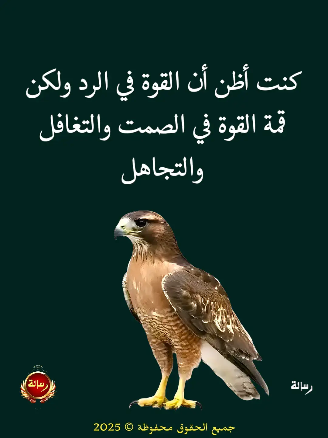 نجيب محفوظ 🕊️💙