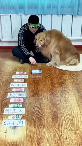 smart dog #dog #pet #funny #funnyvideos #xuhuong 