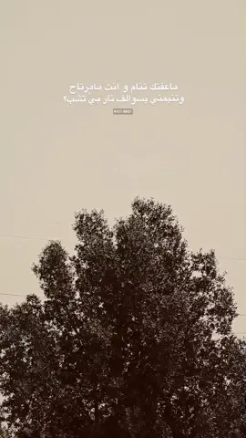 مـاعِفتـك #شعر #سمير_صبيح #جبار_رشيد #explore 