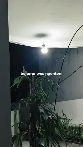 sesok isuk dibaleni🗿 #overlay #liriklagu 