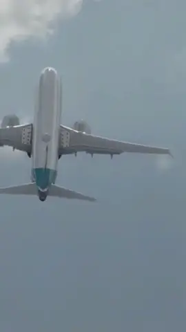 Why Boeing paints its aircraft green #aviation #aviationlovers #aviationdaily #aviationlife #aviationtiktok #aviationgeek #planes #plane #boeing #boeing737 #boeing777 #boeinglovers #airlines #airline