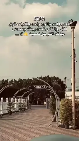 #☝️🦅 