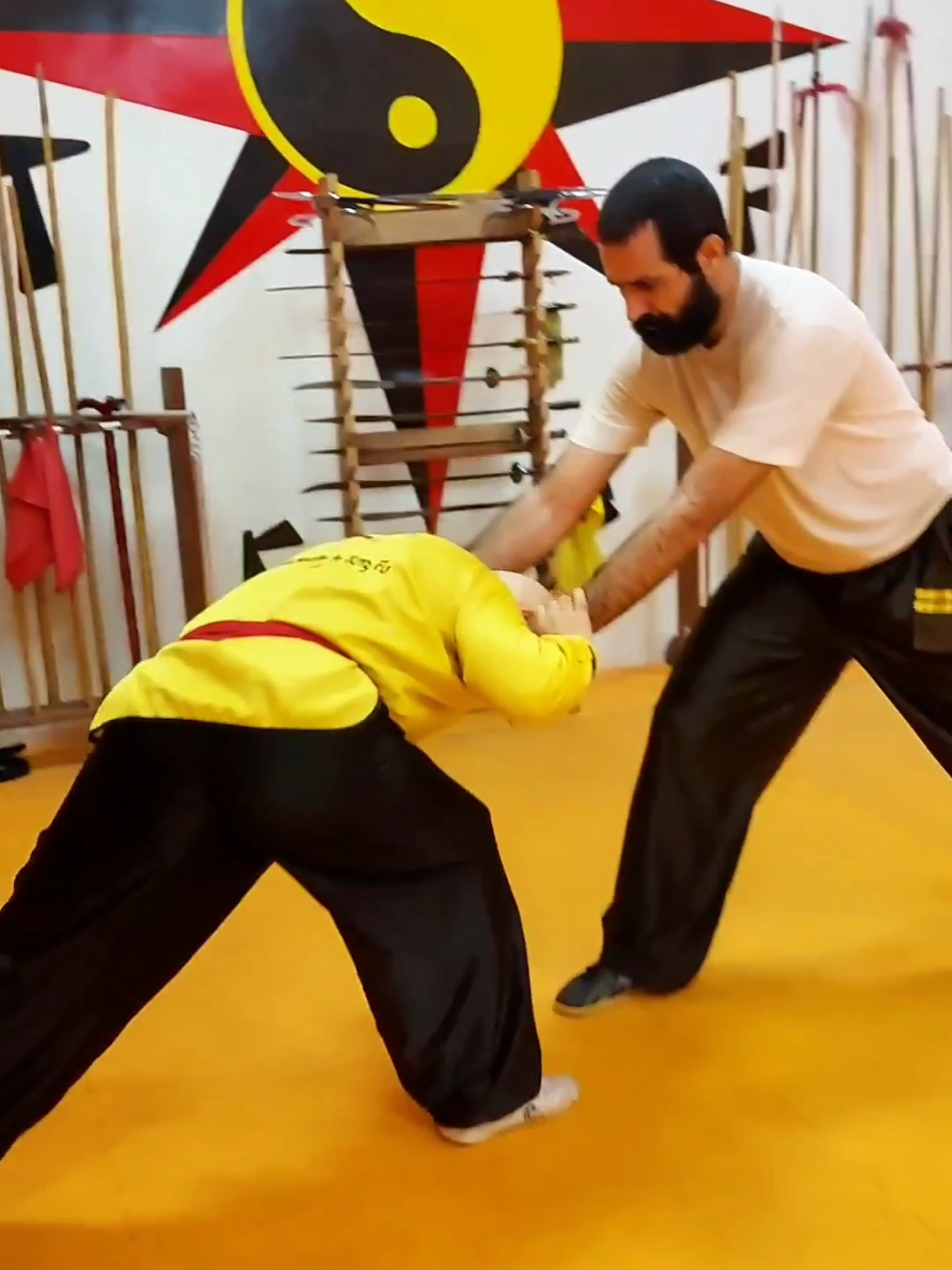 tskf #kungfu #wushu #artemarcial #artesmarciais #defesapessoal #shaolin #chikung