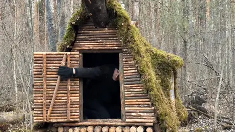 I created a simple, safe and natural shelter #camping #Survival #bushcraft #travel #2025 #america 