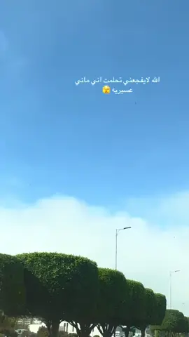 #اكسبلور #اكسبلورexplore #عسير 