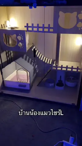 บ้านน้องแมวน่าอยู่มาก5555#บ้านแมว #วิลล่าแมว #คอนโดแมว #กระบะทรายแมว #ทาสแมว #cat #ragdoll 