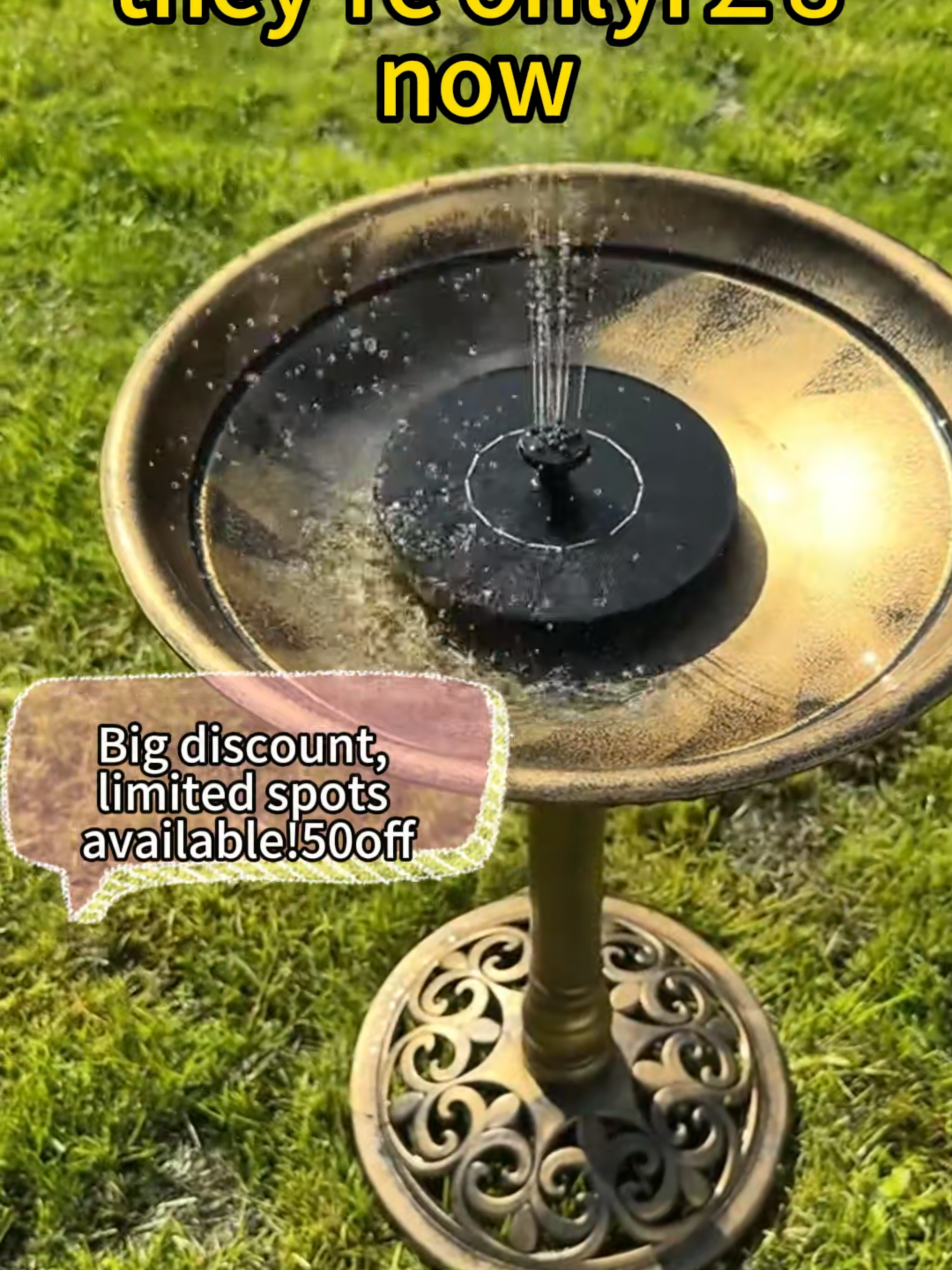 Bird Bath Pedestal Water Bowl Traditional Outdoor Garden Ornament New#fyp #foru #tiktokmademebuyituk#tiktokmademebuyit #tiktokshop#fурррррррррpрppр #dealdrops #fountain#birdbath #gardenfountain #solarpoweredfountain