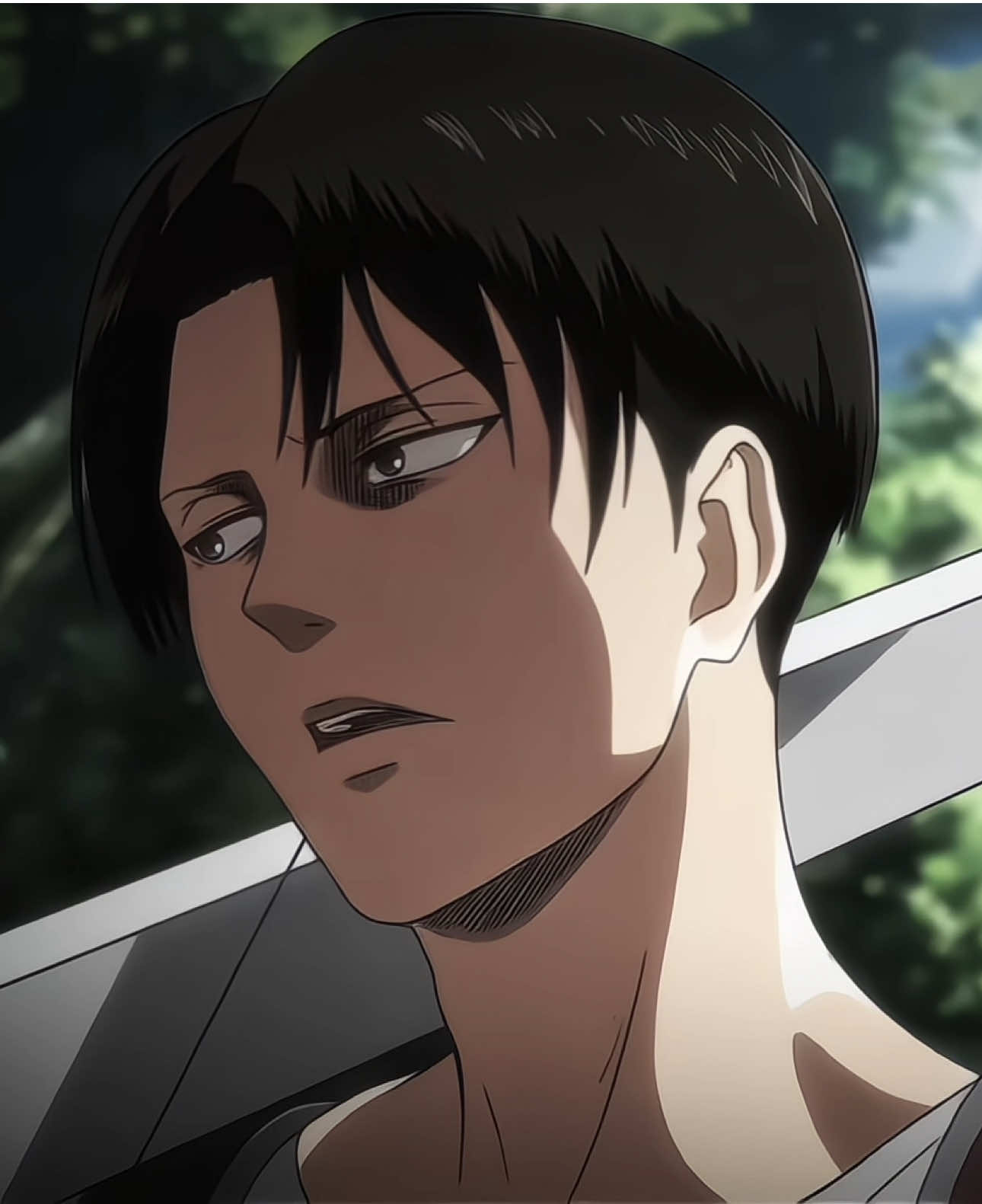 فقط ليفاي ☝🏻💔 #AttackOnTitan #levi #eren #تيم_وينتر❄️ #explore #fyb 