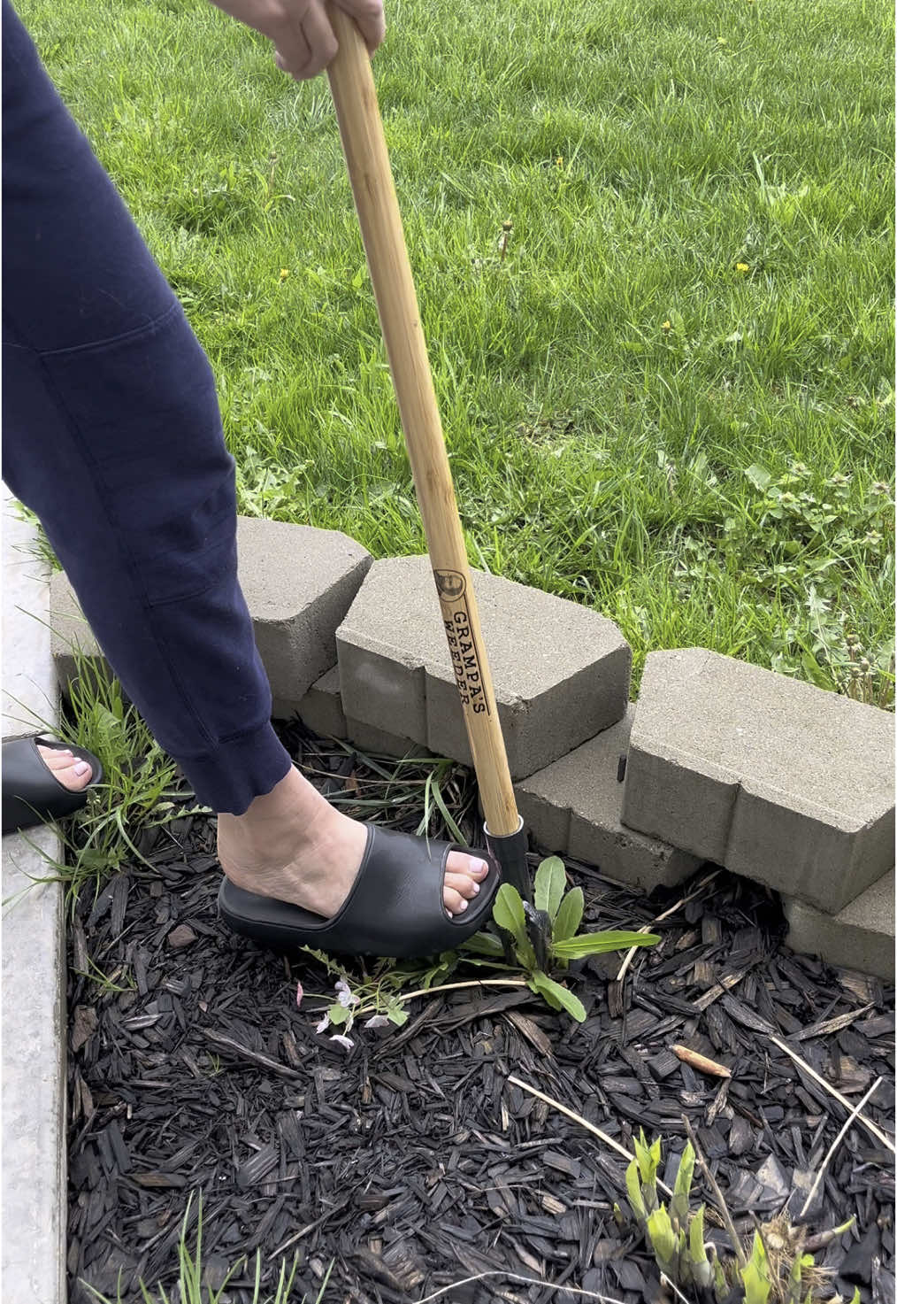 Great gift idea for Mother’s Day #gardening #mothersday #mothersdaygift #ad #moms #ad 