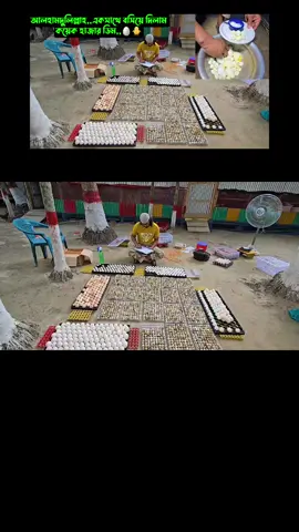 YT,,Bismillah Agro,,,প্রোফাইল গিয়ে ইউটিউব ক্লিক করে ফুল ভিডিওটি দেখে আসতে পারেন,,,আপনার বেকার জীবনে কাজে লাগবে ইনশাআল্লাহ ❤