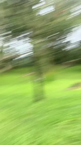 #zunszueena #sikecilbantet #vlogulangtahun #vlogsingkat #ulangtahun #fypage #viraltiktok 