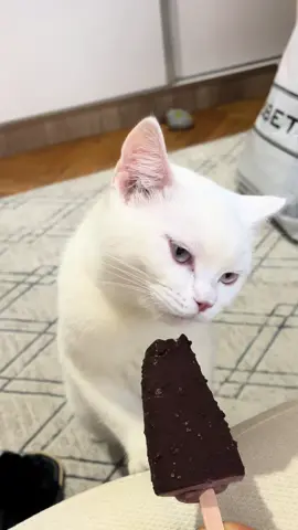 #paratiiiiiiiiiiiiiiiiiiiiiiiiiiiiiii 