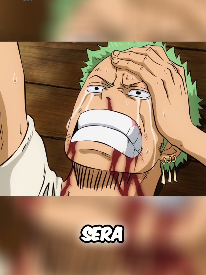 Le dernier combat de Zoro !  #zoro #mihawk #onepiece #roronoazoro #onepiecezoro  by le mont corvo 