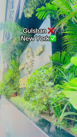 Gulshan ❌ New York❤️