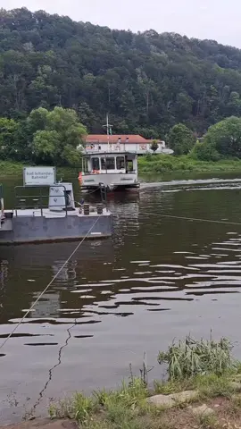Dinge, die man mit dem Deutschlandticket gemacht haben muss: Teil 17 🎫 Die Fähre von Bad Schandau ⛴️ Mit diesem kleinen Boot könnt ihr vom Bahnhof von Bad Schandau direkt und bequem mit eurem Deutschlandticket ins Stadtzentrum fahren 😌 Wann? ⌚️ Die Bahnhofsfähre fährt täglich von 5.30 bzw. 6.30 Uhr bis 22.10 Uhr im 30-Minuten-Takt 💁‍♂️ Wo? 📍 Ihr findet die Fähre direkt am Bahnhof von Bad Schandau 🙌 Preis? 💸 Das Deutschlandticket wird bei der Fähre anerkannt. Ihr könnt also mitfahren, ohne etwas dazu zu bezahlen 😌 #deutschlandticket #travelling #hiddengem #reiseblog #sachsen #bad schandau #vvo #kirnitzschtalbahn #fähre #schiff #travel #fähre #reisetipps 