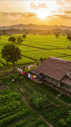 បំណាច់ចិត្តស្នេហ៍ ស៊ិន ស៊ីសាមុត បំណាច់ចិត្តស្នេហ៍ស្ទើរតែលាបបាន....#សុិនសុីសាមុត #រស់សេរីសុទ្ធា #បទបុរាណ #noyvanneth #chhounmalay #ហ៊ឹមសុីវន #អ៊ិមយ៉េង #ហួយមាស #ណយវ៉ាន់ណេត #ម៉េងកែវពេជ្ជតា #បទខ្មែរ #បទពីដើម #oldsonglove #ហ៊ឹមស៊ីវន #ចិត្តឥតល្អៀង #អធិរាជសំឡេងមាស #sinsisamut #natural #ព្រាបសុវត្ថិ #ភ្លេងការ