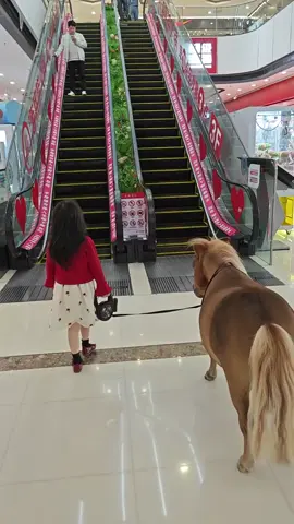 This mini horse said 