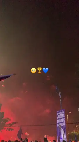 #b2b #persib #juara #2025 