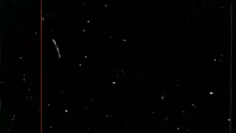 عندي صحاب ياما لاكن بأمانة عندي واحد صاحب توب 🫵🏻❤🌍 .  .  .  #اغاني #منشن #لصاحب #عمرك #تصميم_فيديوهات🎶🎤🎬 #الريتش_في_زمه_الله💔😣 #اغاني_مسرعه💥 #explore #song #foryou #fypシ゚ 