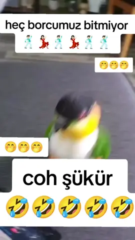 çok şükür bitmi 🤣🤣🤣🤣🤣🤣🤭#🤣🤣🤣🤣🤣🤣 #😂😂😂😂😂 #eğlence #komedikocak #keşfet #keşfettiktok #tiktok #komikvideolar #komedi 