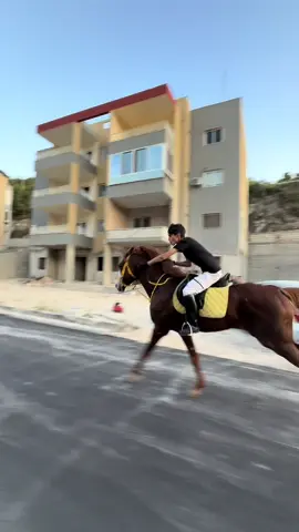 #خيل_وخياله🐎 #خيل_عربي_اصيل #جنوب_لبنان🇱🇧 #foryoupage❤️❤️ #خيالة #explore #الوحش 