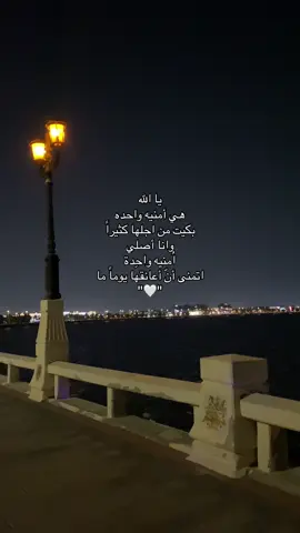 اللهم امين لكُل ما دعوت به  #يارب_فوضت_امري_اليك #اللهم_صل_وسلم_على_نبينا_محمد #اللهم_اجعله_من_نصيبي #بدون_موسيقى 