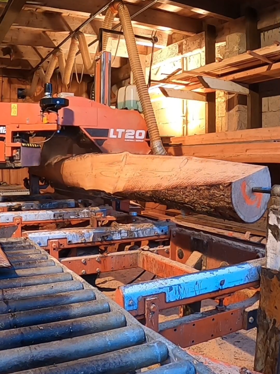 Cutting roof battens with crazy precision for hardware stores across town! ⚙️✂️ Lumber never looked this good! #SawmillVibes #LumberLife #Woodworking #MillLife #RoughCutReady #HardwoodHeroes #TimberTime #PrecisionCut #WoodGang #WoodMizer #SawDustSquad #Wutmeiser #Lorozol #FrontierSawmills #NorwoodSawmills #HomeDepotStyle #LowesLife #MenardsVibes #AceHardware #MillworksMadness #BoardByBoard
