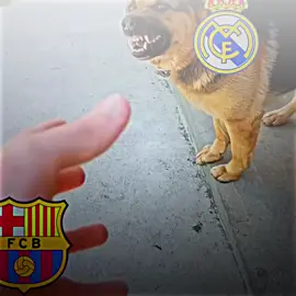 لاضوجون جماعة الريال الفيديو الجاي اهين برشلونة +صعدو🔥☝😁#فرنسا🇨🇵_بلجيكا🇧🇪_المانيا🇩🇪_اسبانيا🇪🇸 #تيم_fbi⚡ #تيم_اساطير_الدفاع_🔥👿 #تدخلات_المدافعين🔥🤯 #تيم_بيدري⚜️ #تيم_كرة_القدم💎 