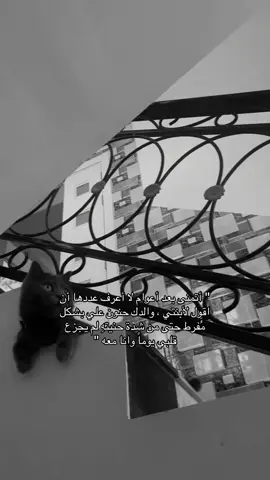 #حنون #fyp #fypシ゚ 