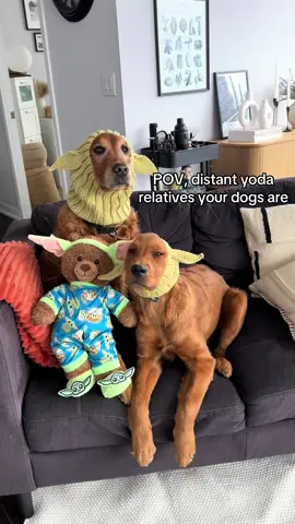 Pickles and the gang wish you a Happy May the Fourth 