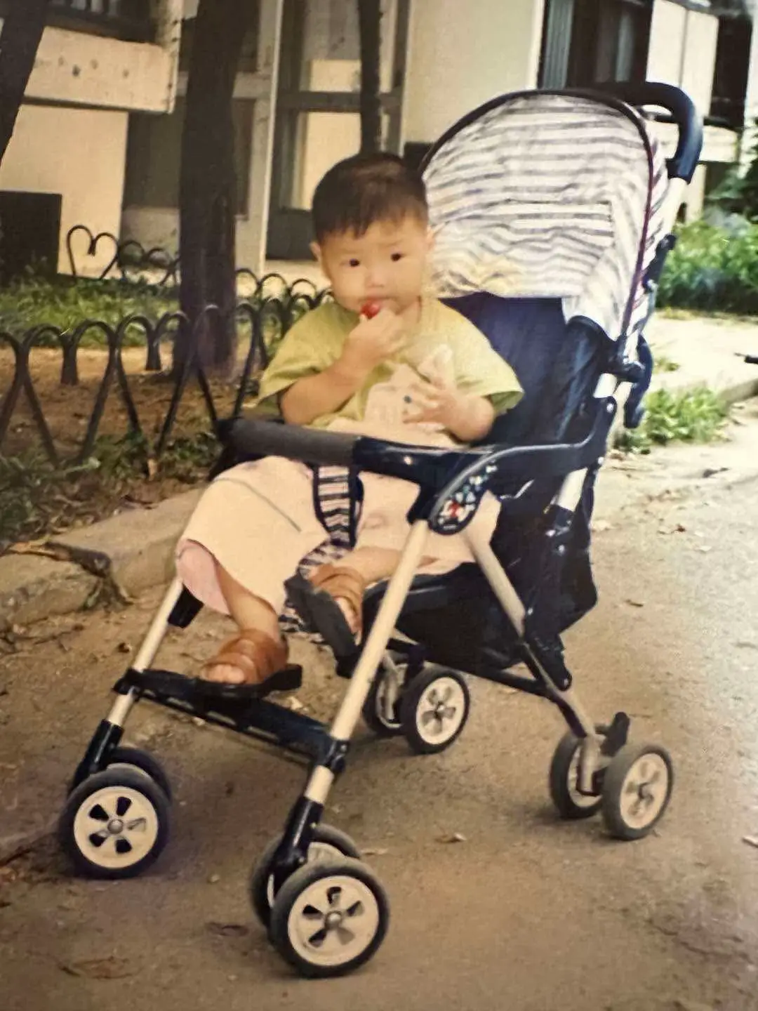 1 con mèo nhỏ #chovy #jeongjihoon #gengchovy  