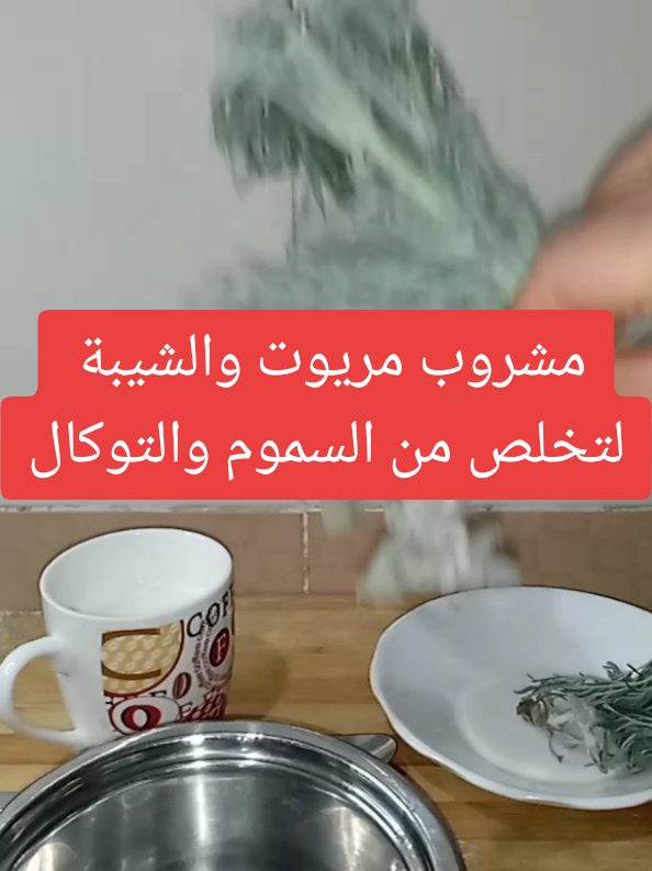 #pourtoii #tik_tok #videoviral #مشروب_مريوت_والشيبة_لتخلص_من_السموم_والتوكال#وصفة_ضد_السموم_والتوكال#التوكال #التوكال_هو_سحر_مأكول_اومادة_مسمومة_أكلتها#وصفة_سهلة #وصفات_طبيعية #وصفاتي #وصفة_مجربة #تنقية_الجسم_من_التسممات #worldsamira 