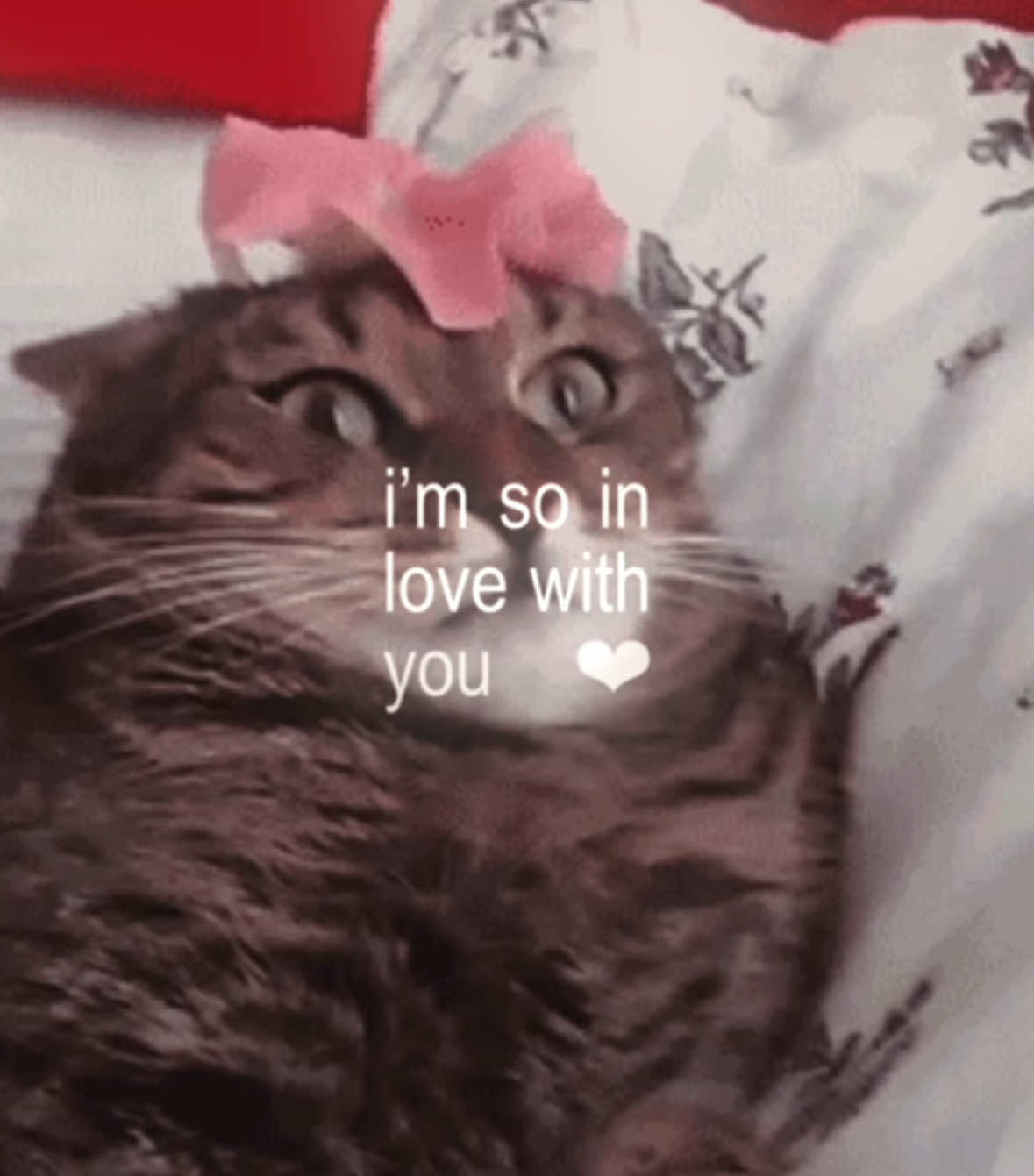 🌸 #editaudio #audio #audiosforedits #fyp #trendingsong 