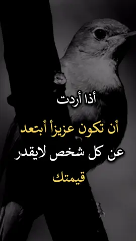 #عبارات_جميلة_وقويه😉🖤 #افضل_عبارة_لها_تثييت #افضل_عبارة_لها_تثييت #عباراتكم_الفخمه🦋🖤🖇 