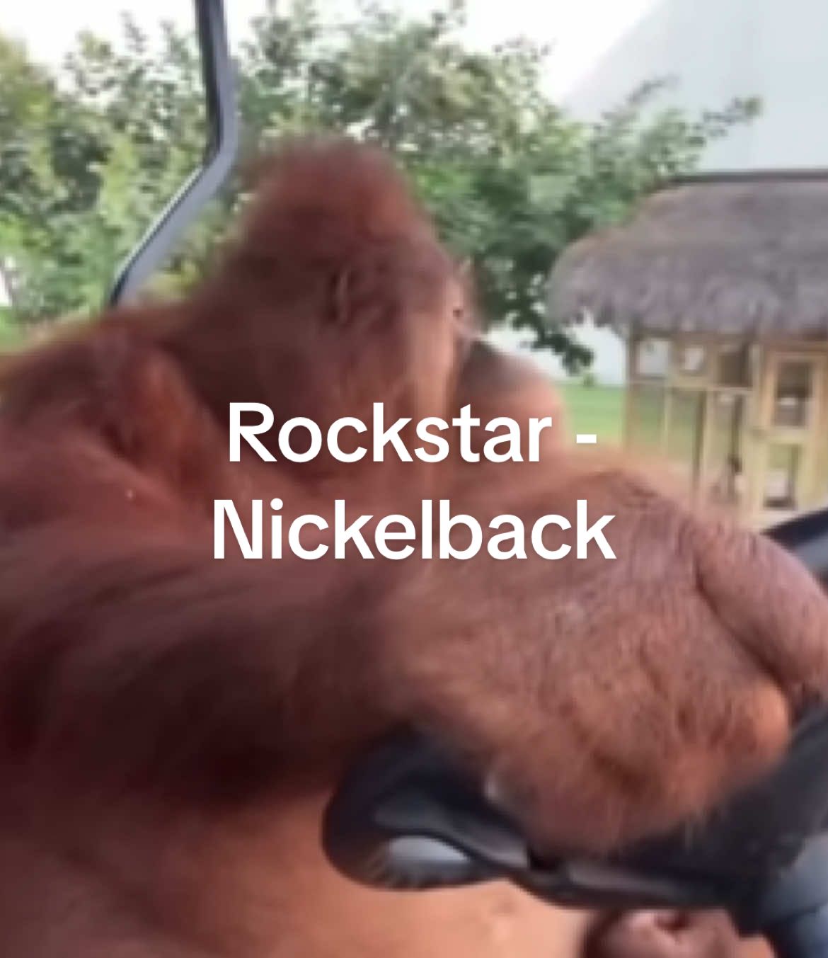 #Rockstar #Nickelback #Sunday