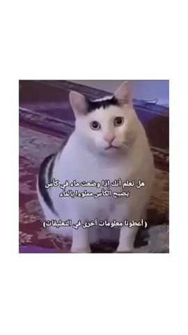 #الشعب_الصيني_ماله_حل😂😂 #funny #foryoupage 