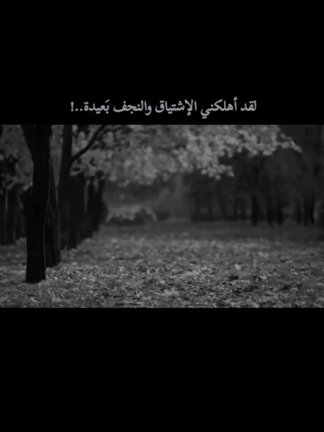 لقد أهلكني الإشتياق والنجف بَعيدة..💔 #virall #fypシ #foryou   #fypシ #اكسبلورexplore  #خربشات  #عباراتكم #اقتباسات