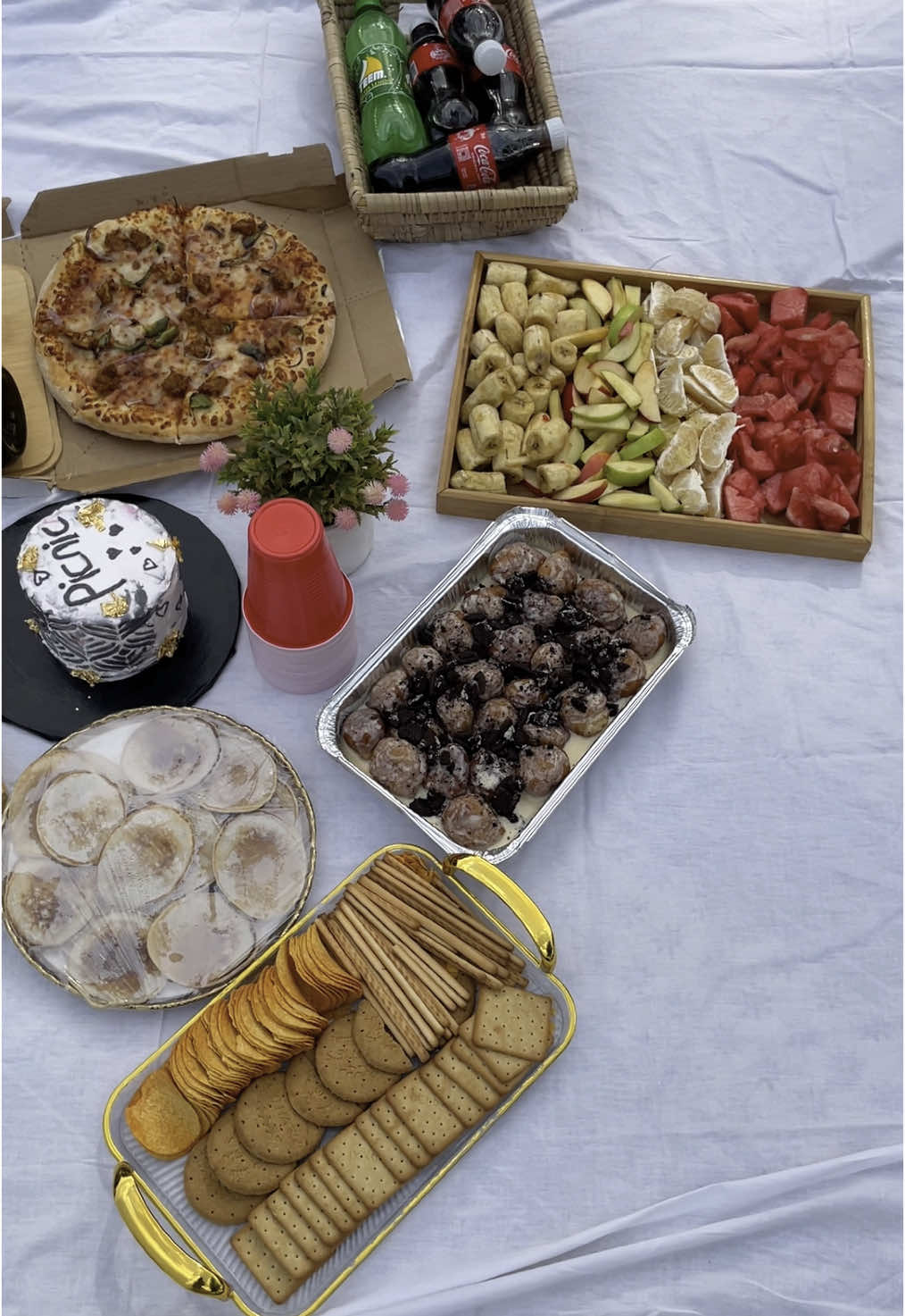 Mini picnic with my bestie ❤️#friends #besties #picnic #picnicdate #goviral #fyp 