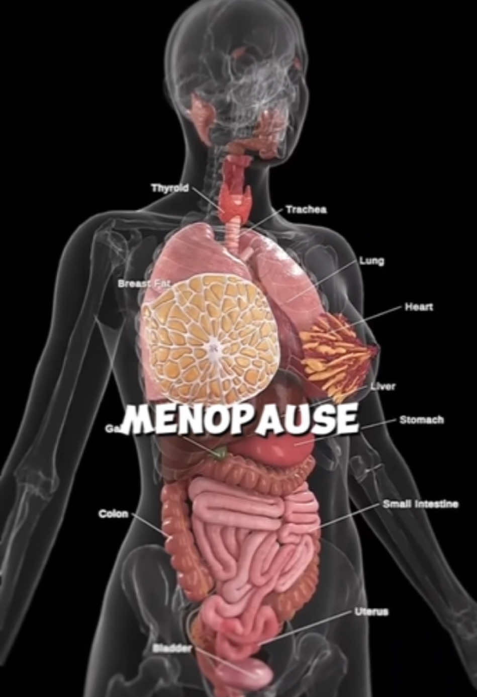 Magnesium and menopause. #menopause  #menopausia  #magnesiumdeficiency 
