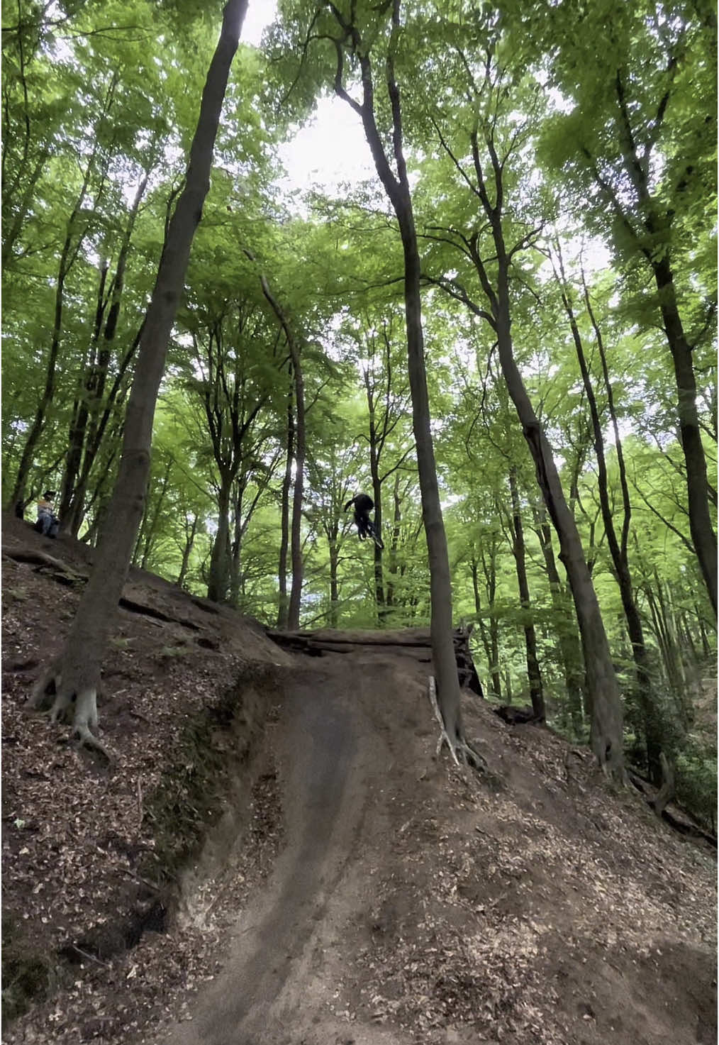 finally feeling the confidence coming back, also did the biggest jump ive done yet today  💪 #mtb #stepup #bigair #big #steep #fast #steeze #benjaminschmidtmtb #clean #forbidden #supernaught  @Yannick.69 @Paul.Schulte 