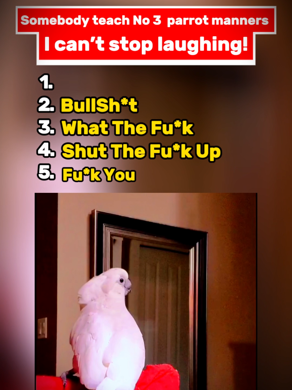 Ranking Funniest Parrot's 🤣 #talkingparrot #talkingparrots #funnypets #foru 