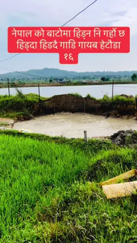 #creatorsearchinsights #साचै_भनेको_❣️❣️💯💯💯 #माया #photography #makwanpur_muser #nepalitiktok #nepalitiktok #vairalvideo #hatiya ##tiktok #hetaudamuser#goviral #treanding 