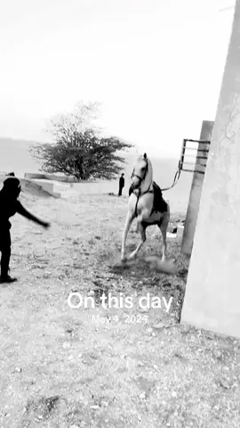 #onthisday 