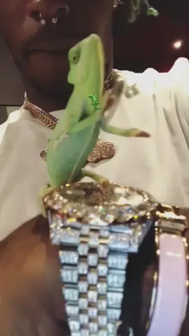 Pink Diamonds/Big Like Eel - Lil Uzi Vert (2018) #liluzivert #CapCut #fyp #bratgenerator #bratlyrics #brat #2015 #2016 #2017 #2018 #2019 #2020 #2021 #2022 #2023 #2024 #2025 #luvisrage #luvvtw #tplt #luvisrage2 #eternalatake #pinktape #allwhite #leak #1600 #viralvideo #xyzbca #viral #harley #sound #liluzivertunreleased #liluzivertleak #liluzivertvideos #liluzivertsongs #liluzivertedit #liluzivertsound #liluzivertmusic 