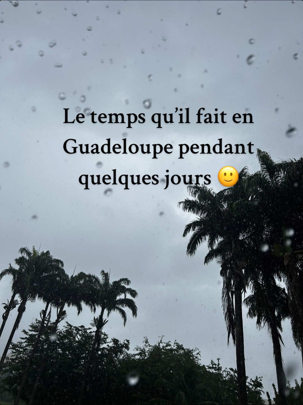 #guadeloupe #buzzantilles 