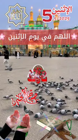 #دعاء صباح يوم الاثنين اصبحنا #واصبح الملك الله اللهم صلِّ على #محمد وآل محمد وعجل الوليك #الفرج يارب العالمين صباح الخير #والسعادة #🤲🤲 #🤲🤲 #🤲 #