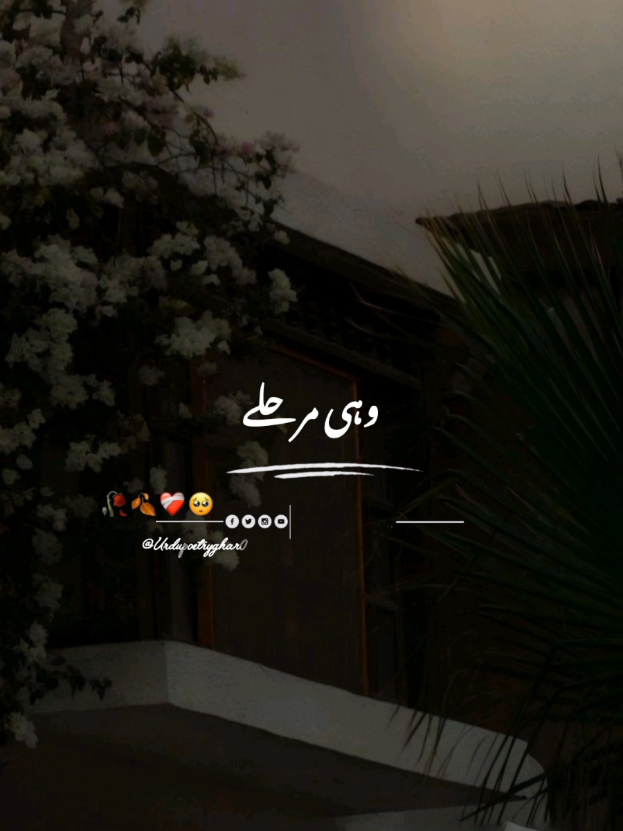 #urdupoetry #deeplines #poetrylover #viraltiktok #shayari #urduquotes #statuswhatsapp #statusvideo #urdushairi #grow 
