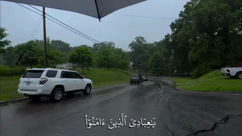 ربنا توفنا مسلمين وألحقنا بالصالحين 🤍. #سورة_العنكبوت #ياسر_الدوسري #quran #islam #تلاوة_خاشعة #اللهم_صل_وسلم_على_نبينا_محمد #اكتب_شي_توجر_عليه 